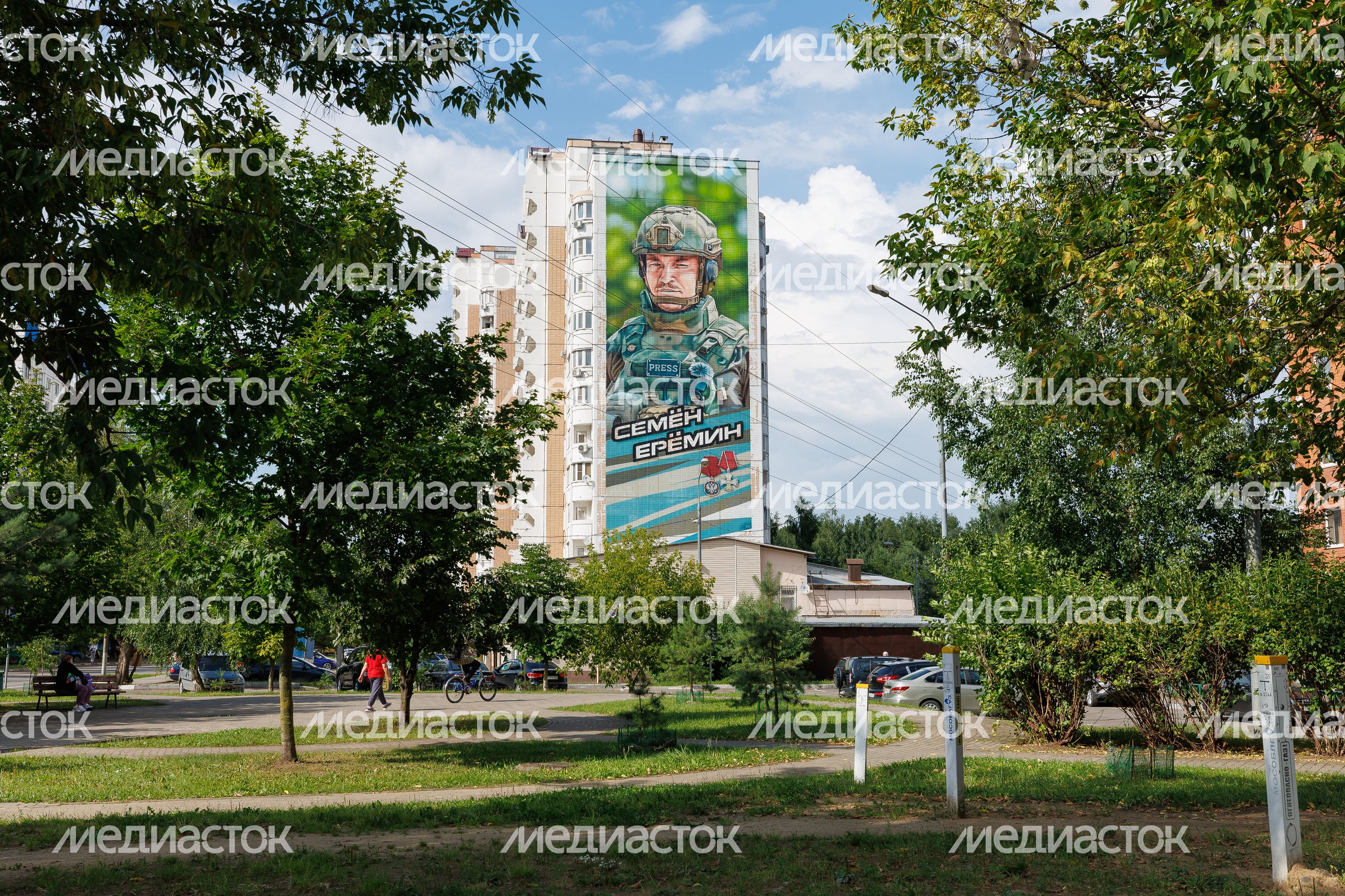 Муралы в Железнодорожном, Балашиха
