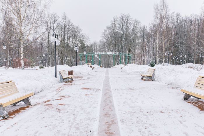 Клин. Парк культуры и отдыха «Сестрорецкий». Зима