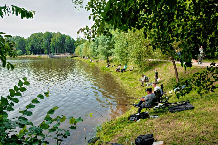 Рыбалка удалась: соревнования по ловле карпа на Малаховском озере в Люберцах