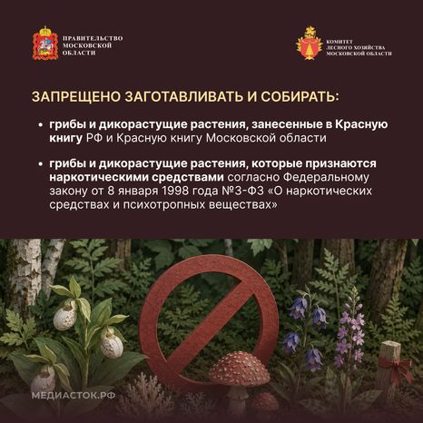 Ягоды, грибы, лекарственные растения квадрат 04