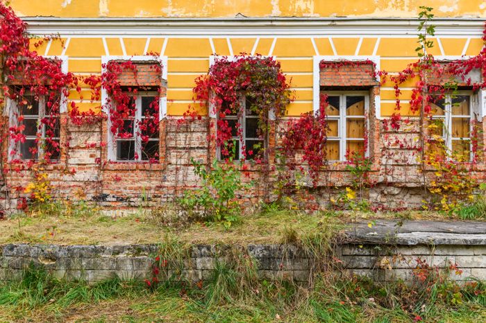 Осень в усадьбе Суханово Ленинского округа