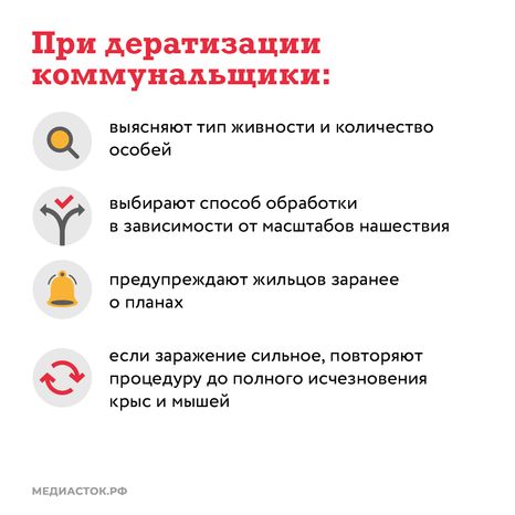 Крысы в МКД квадрат (5)
