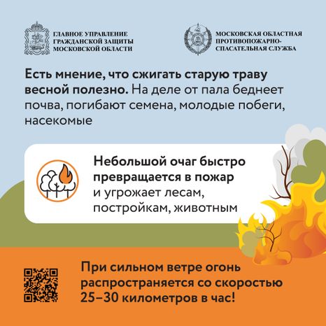 Пал травы-2024_Квадрат-02