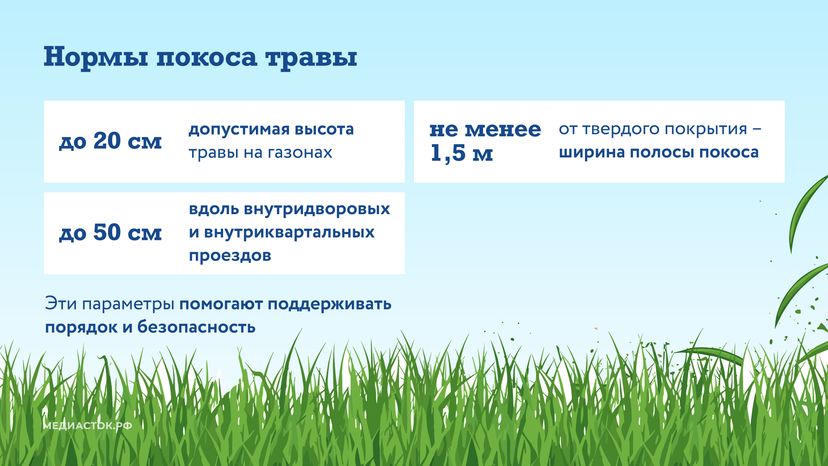 Как ухаживают за газонами горизонталь 04