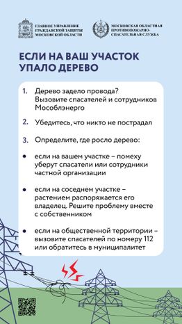 Аварийные деревья_Вертикаль-06.jpg