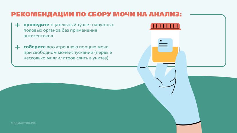 Подготовка к исследованию мочи Горизонталь 05