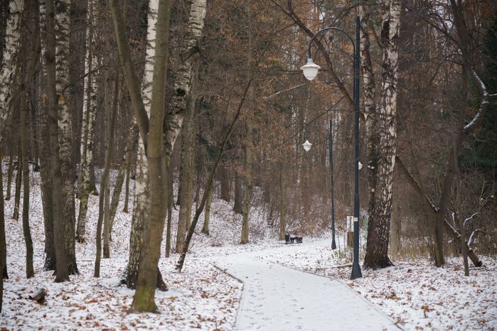 Люберцы. Томилинский лесопарк. Зима