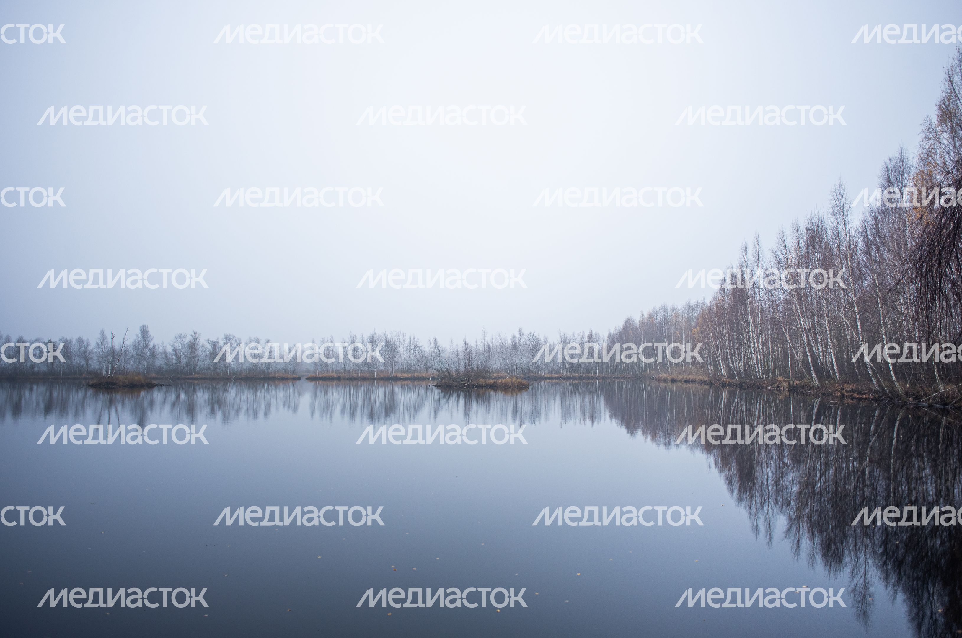Шатурские болота