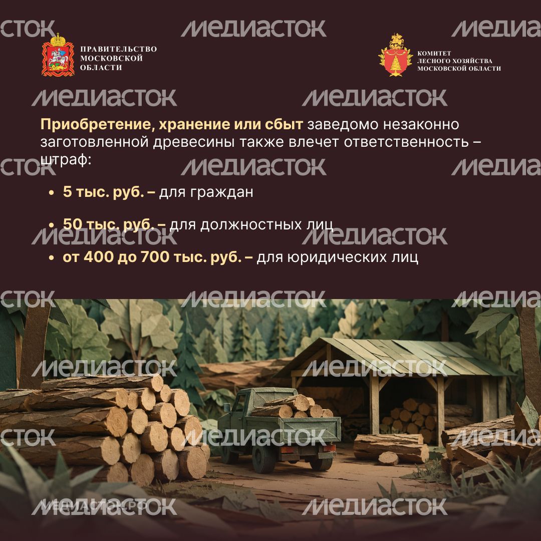 Незаконная рубка квадрат 05