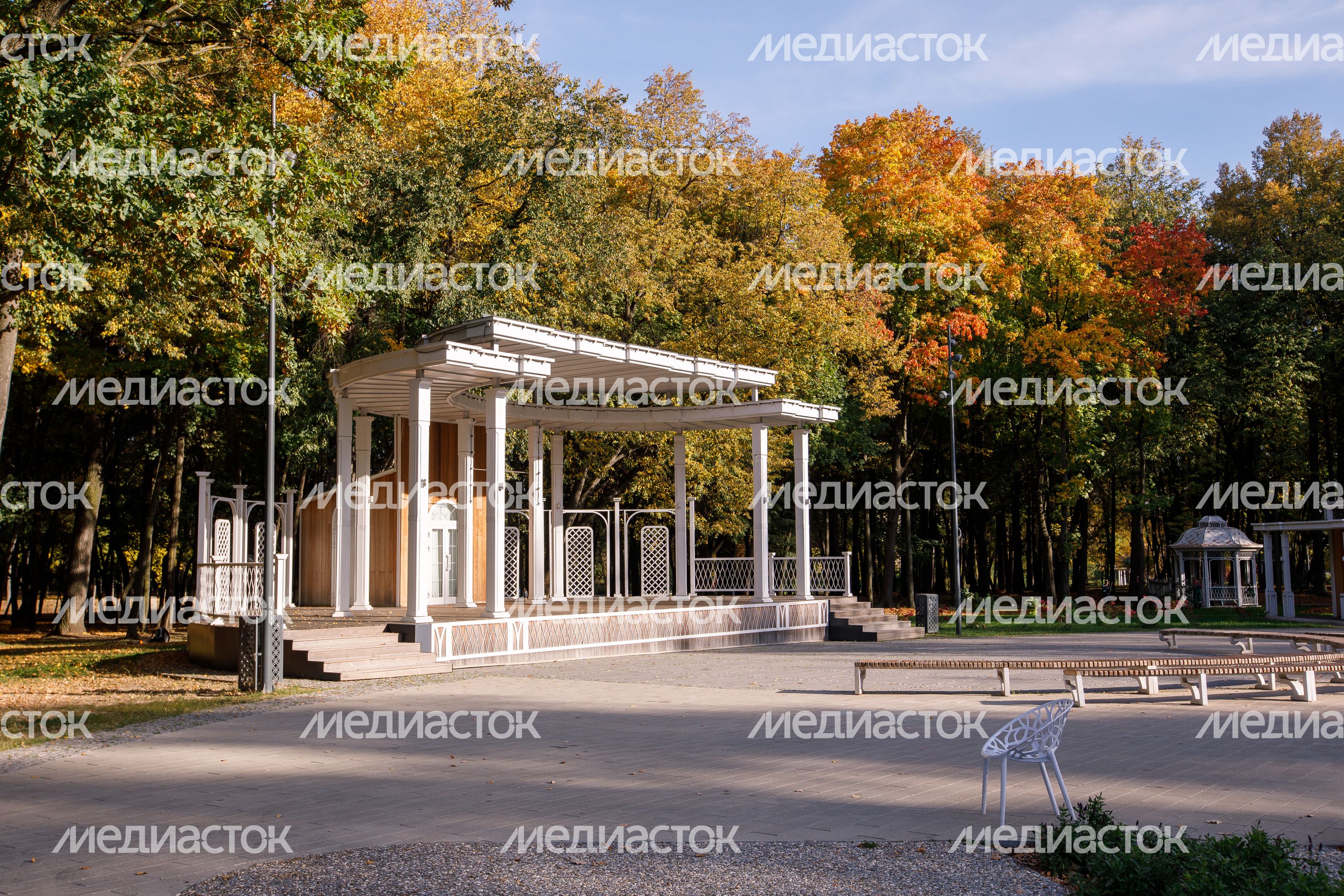 Воскресенск. Парк усадьбы Кривякино Воскресенск. Парк усадьбы Кривякино