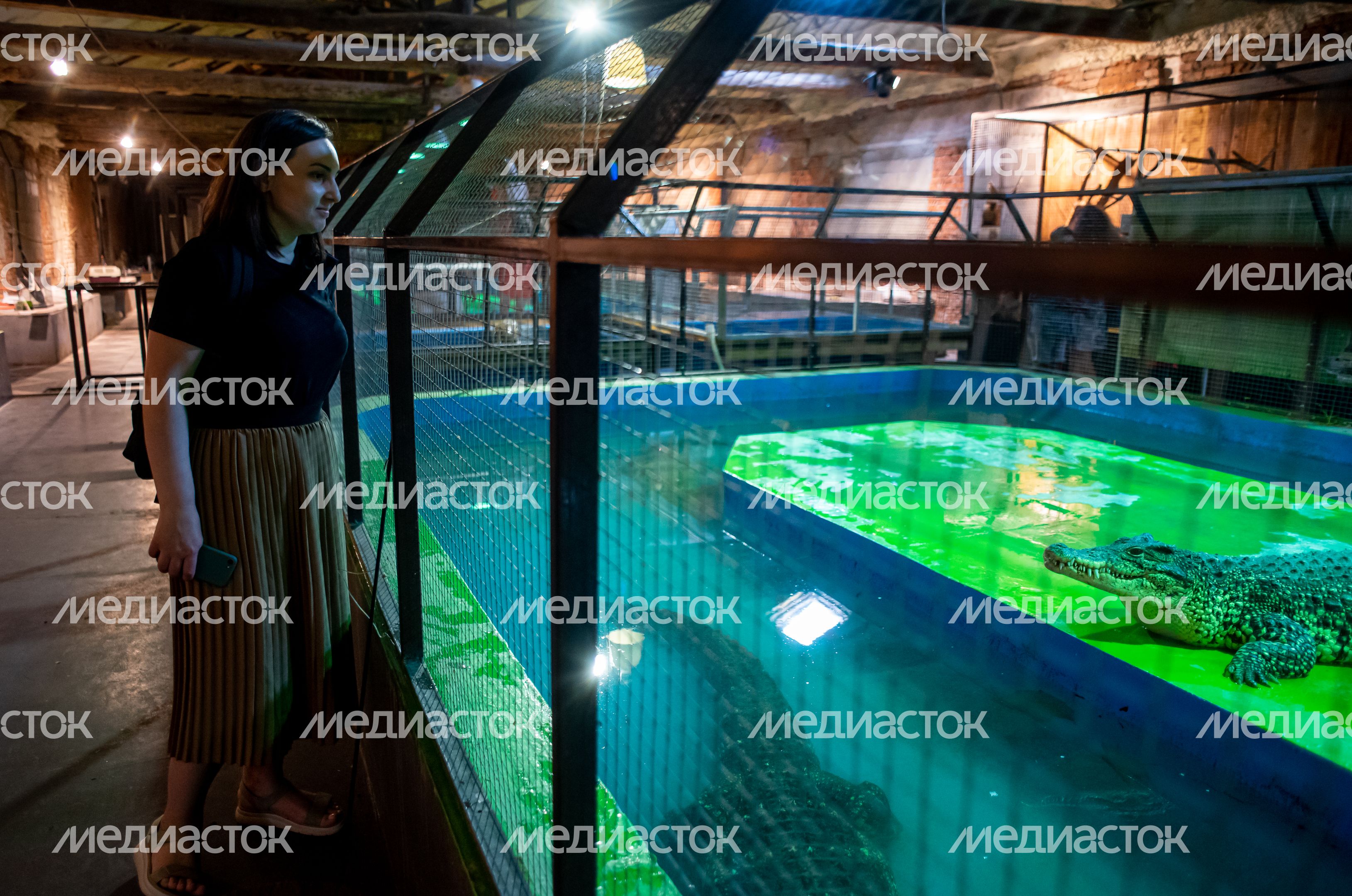 ЭкоДеревушка, Крокодиловая и Улиточная ферма в Коломне