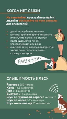 Как не потеряться в лесу