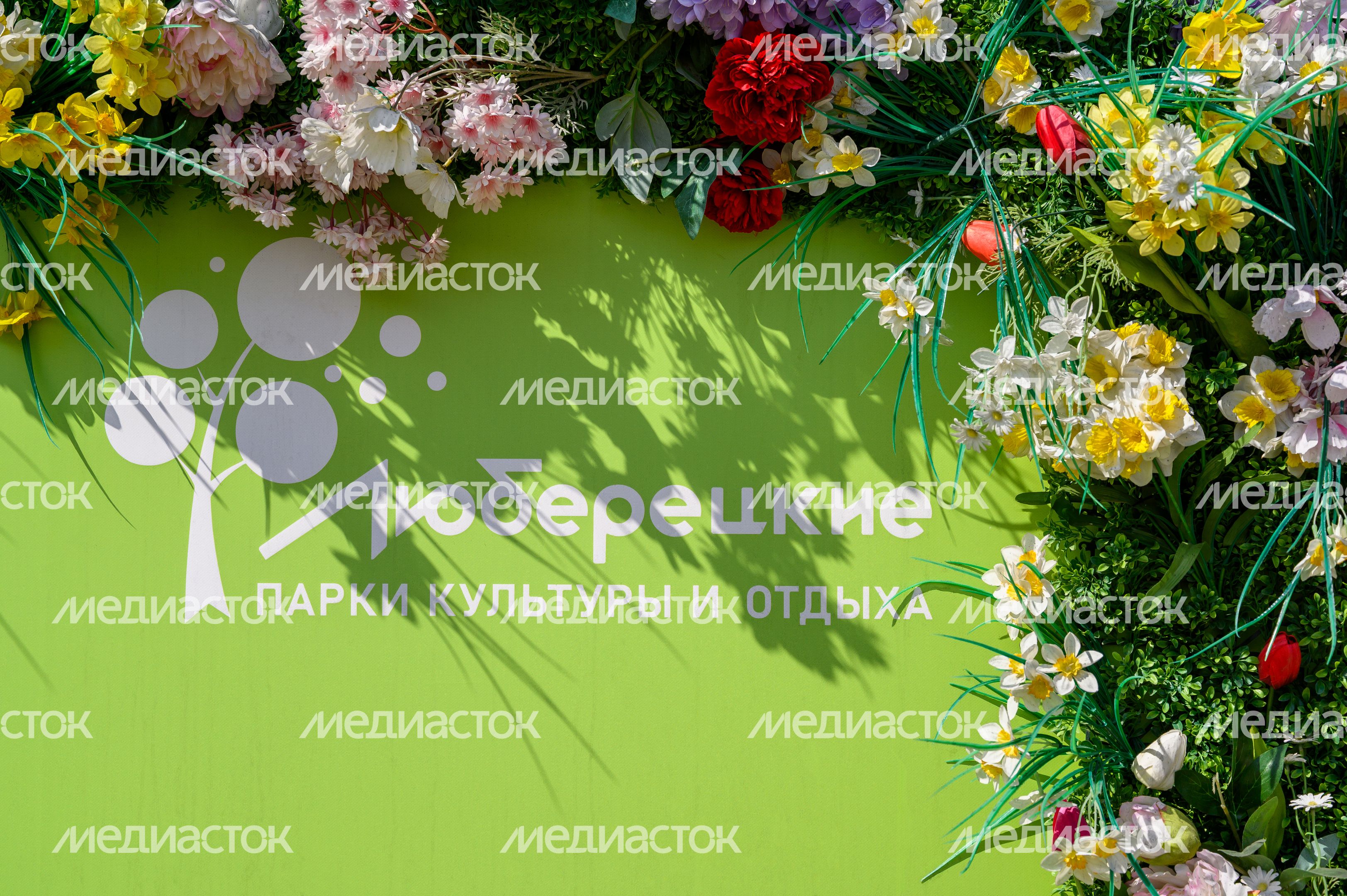 Лето в Наташинском парке Люберец