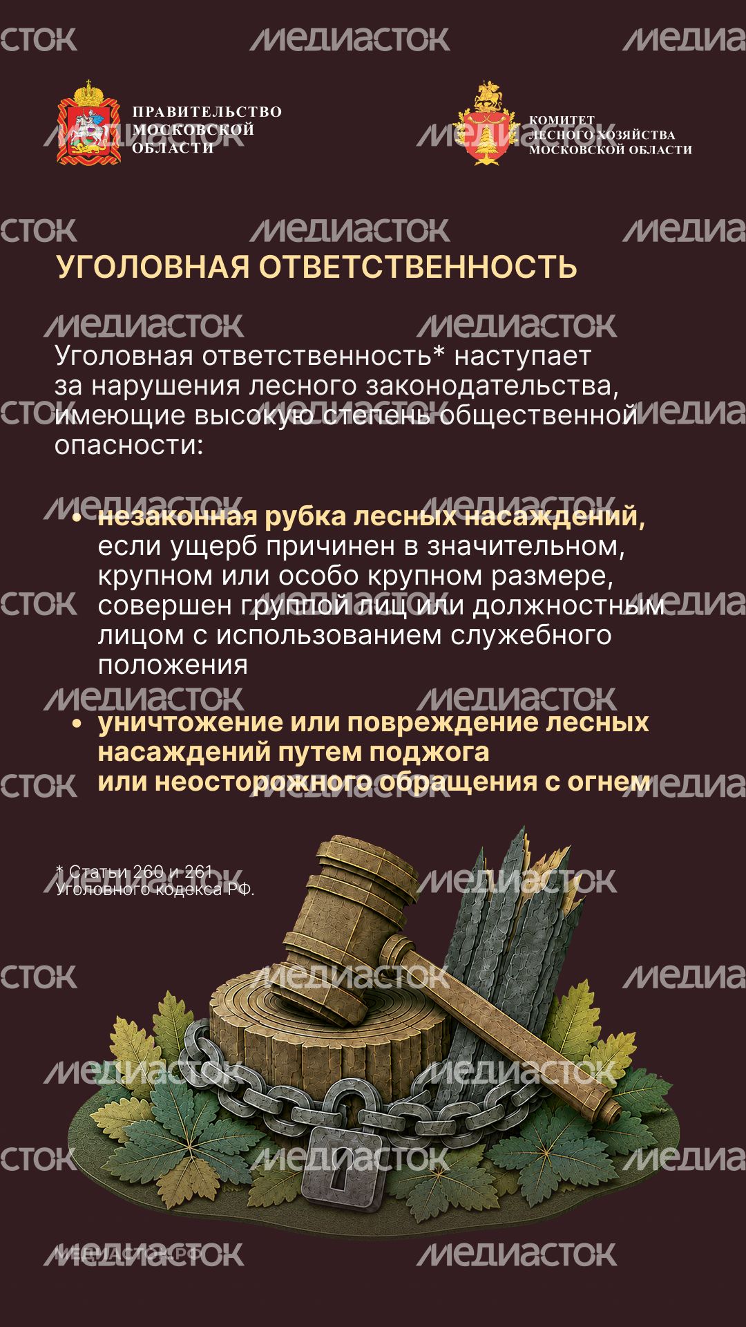 Самовольный захват и использование лесных участков вертикаль 06