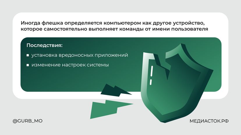 Флешка-ловушка горизонталь 05
