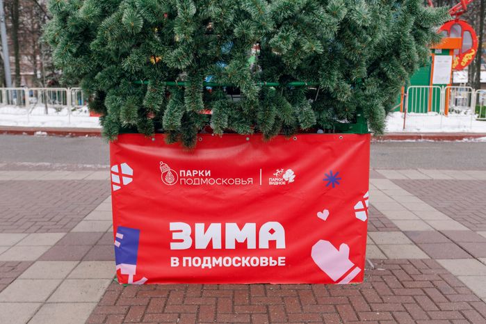 Центральный парк культуры и отдыха города Видное зимой