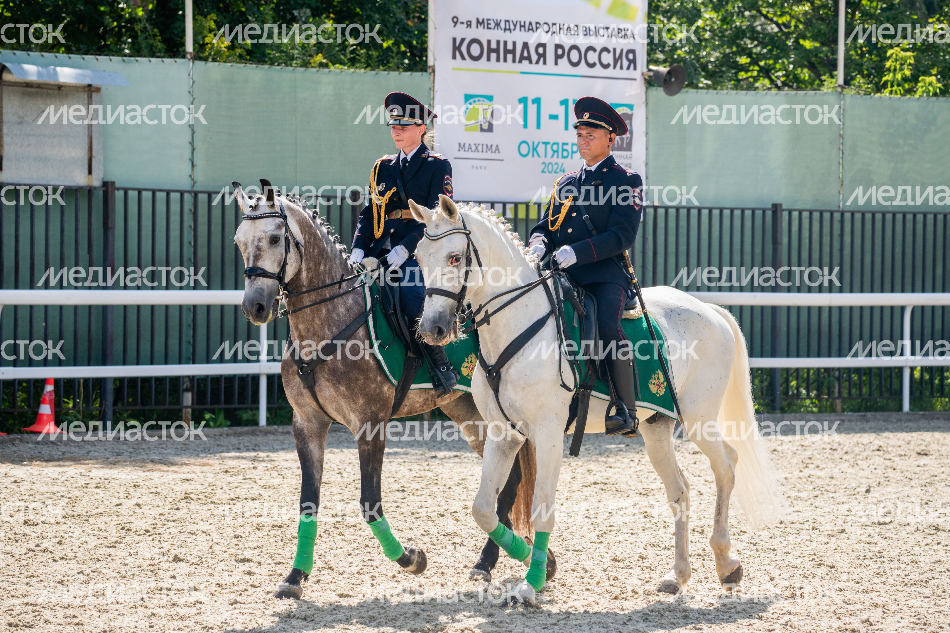 IV Чемпионат русских троек «Крылатое сердце России» в Одинцовском округе IV Чемпионат русских троек «Крылатое сердце России» в Одинцовском округе