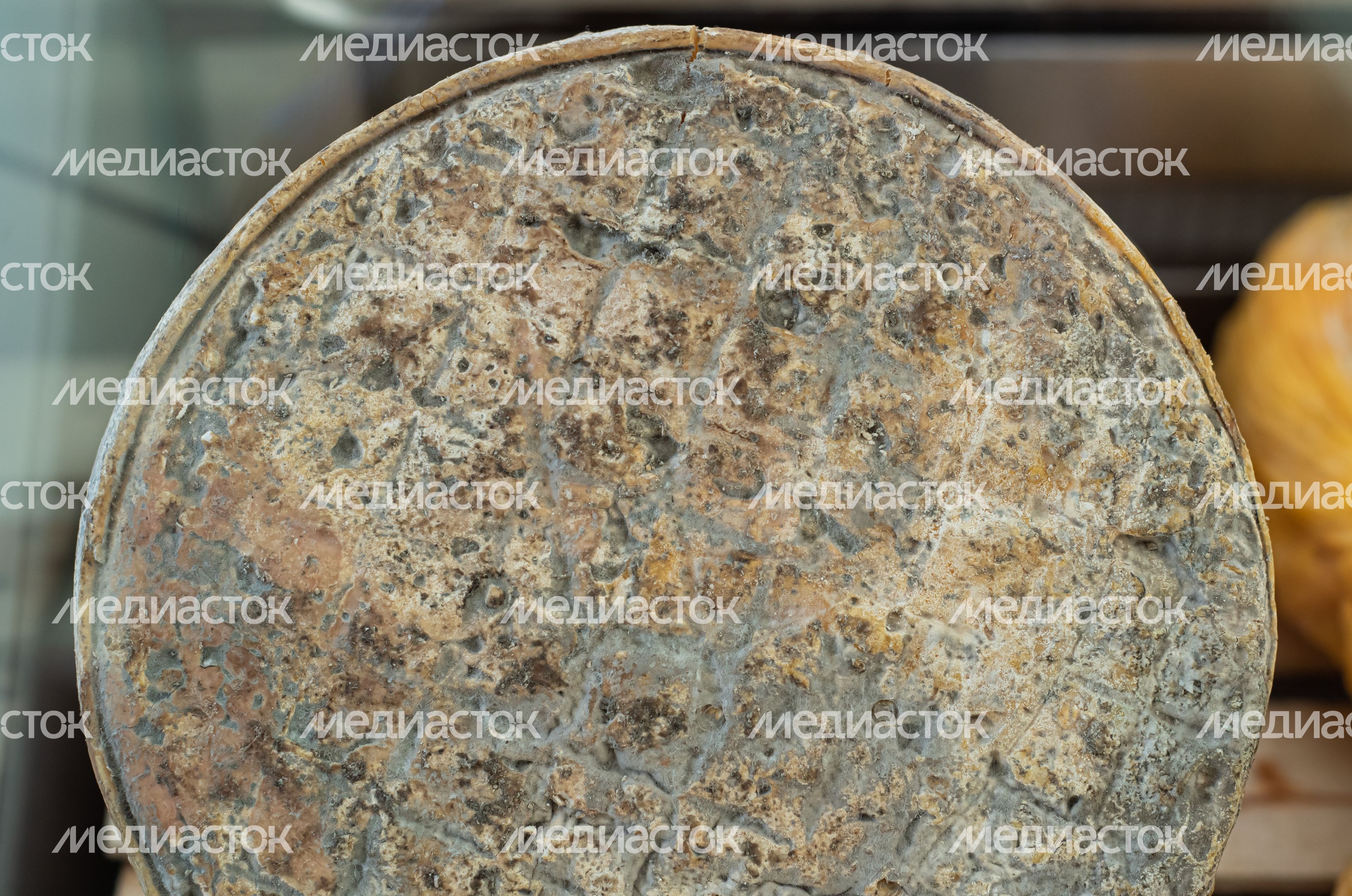 Ежегодный Всероссийский гастрономический фестиваль «СЫР ПИР МИР»