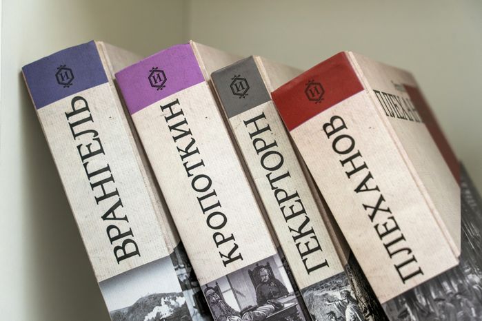 Книги на полке в модельной библиотеке «Компас» во Власихе