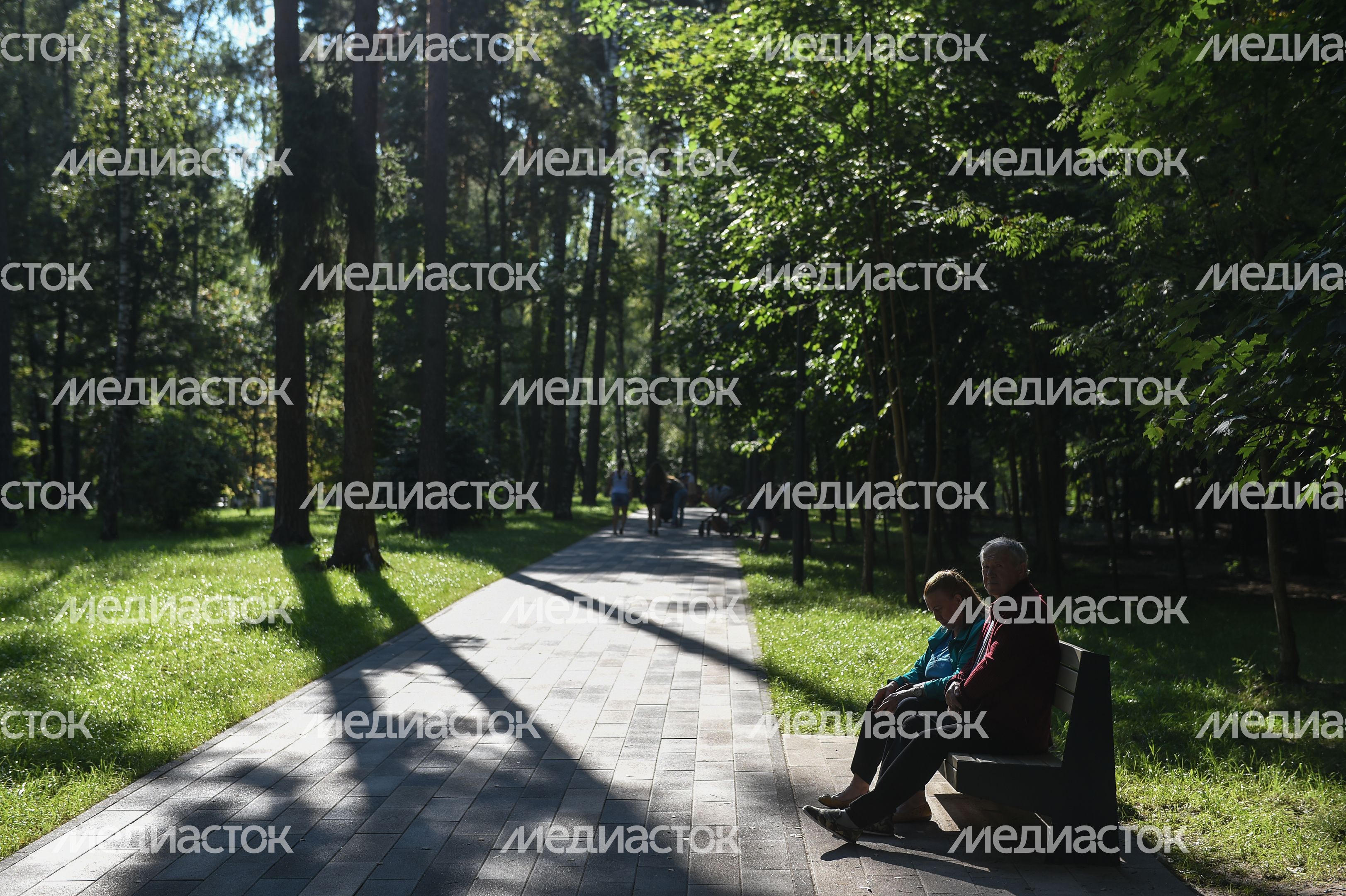 Парк Пехорка в Балашихе после реконструкции