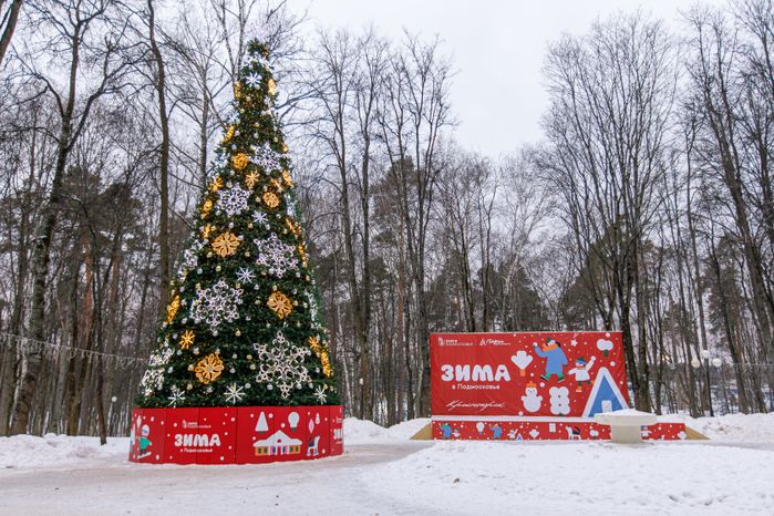 Красногорский городской парк зимой