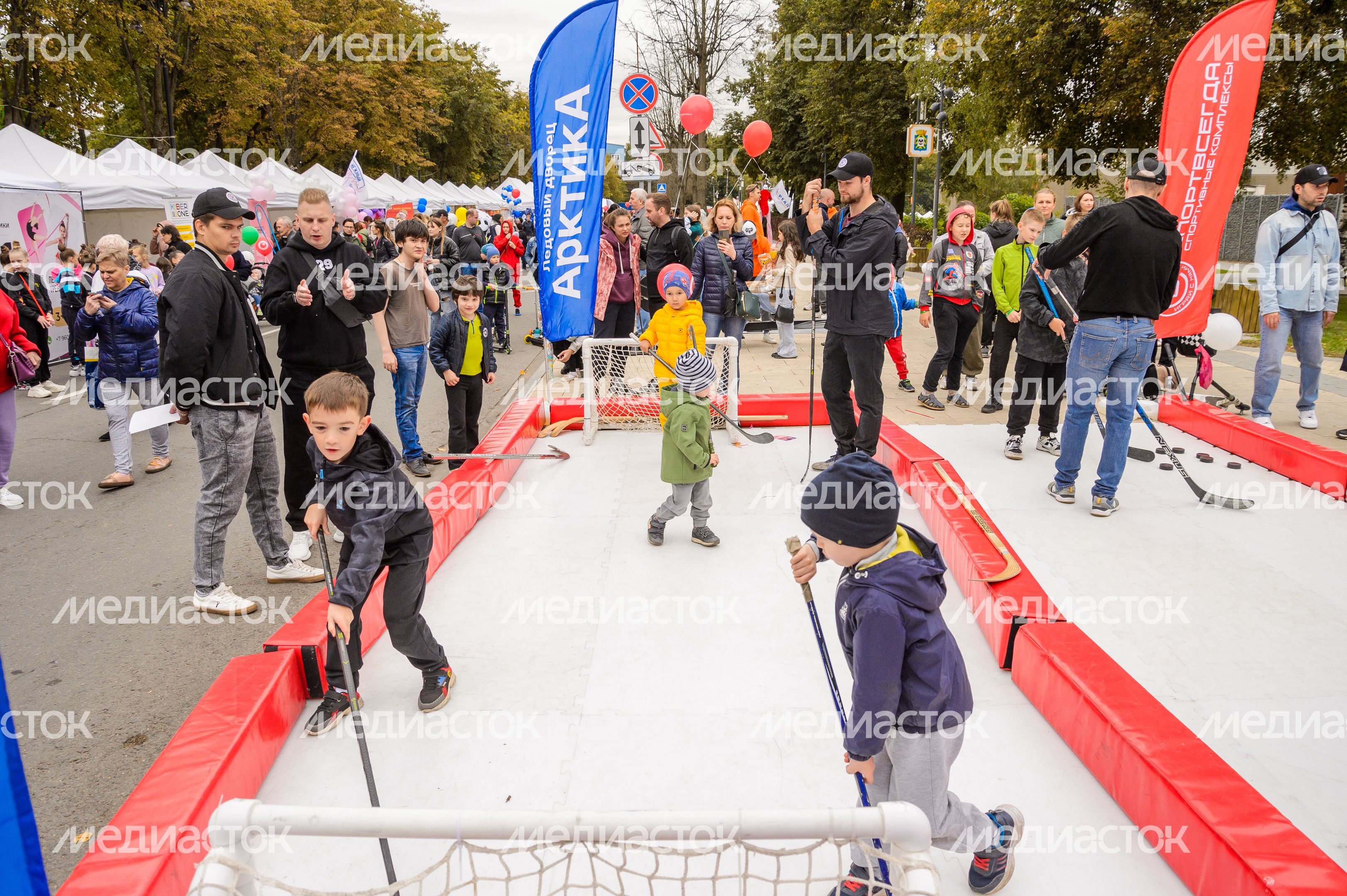 Видное. День города