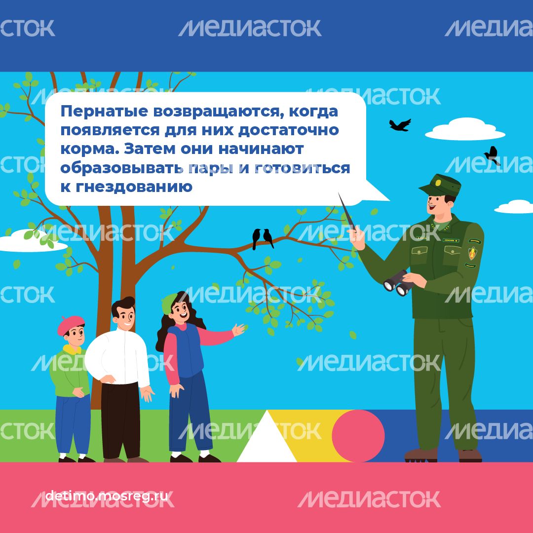 весна летит - квадрат - 02