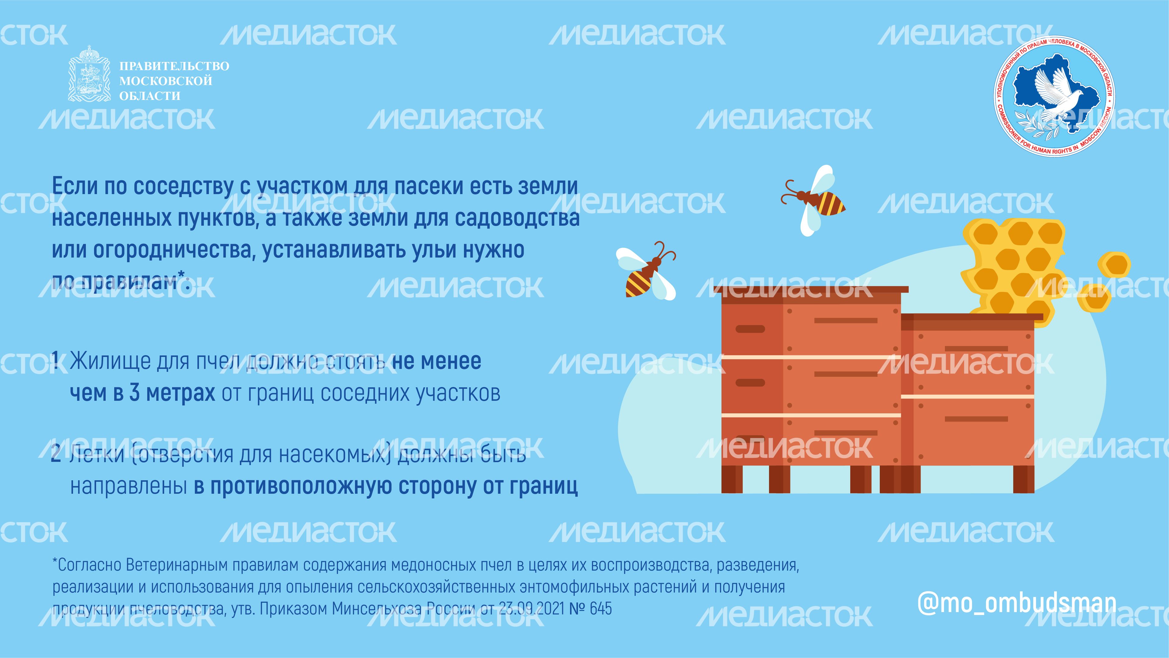 Горизонталь Вопрос-ответ. Пчеловодство-03.jpg