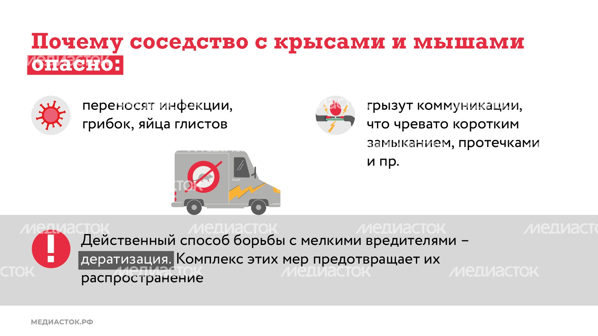 Крысы в МКД горизонталь (2) Крысы в МКД горизонталь (2)