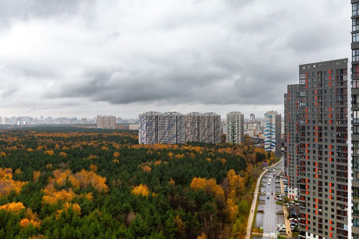Лесопарк «Кузьминский лес» в Котельниках осенью