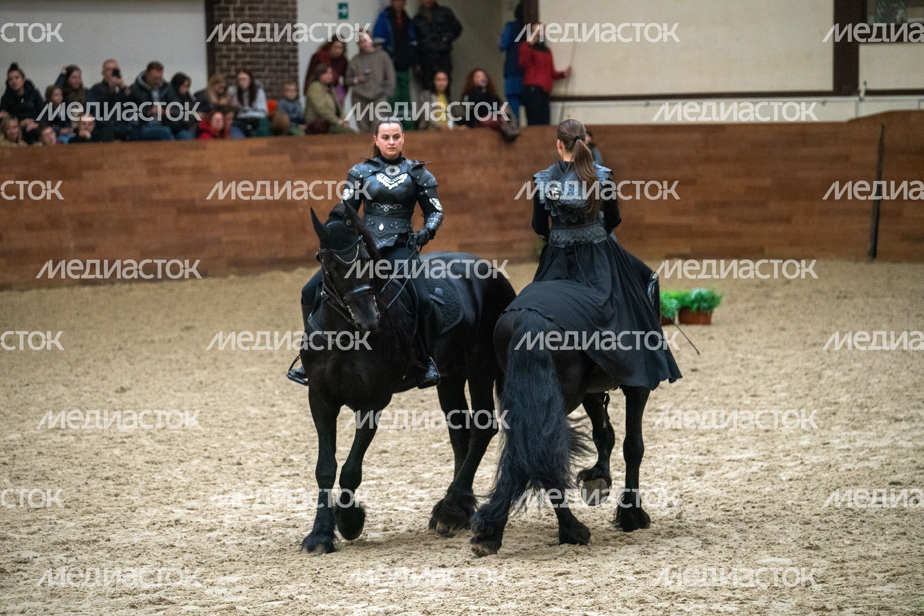 Амазонки в костюмированном шоу на лошадях «Конная палитра» на Международной выставке «Конная Россия» в MAXIMA PARK Амазонки в костюмированном шоу на лошадях «Конная палитра» на Международной выставке «Конная Россия» в MAXIMA PARK