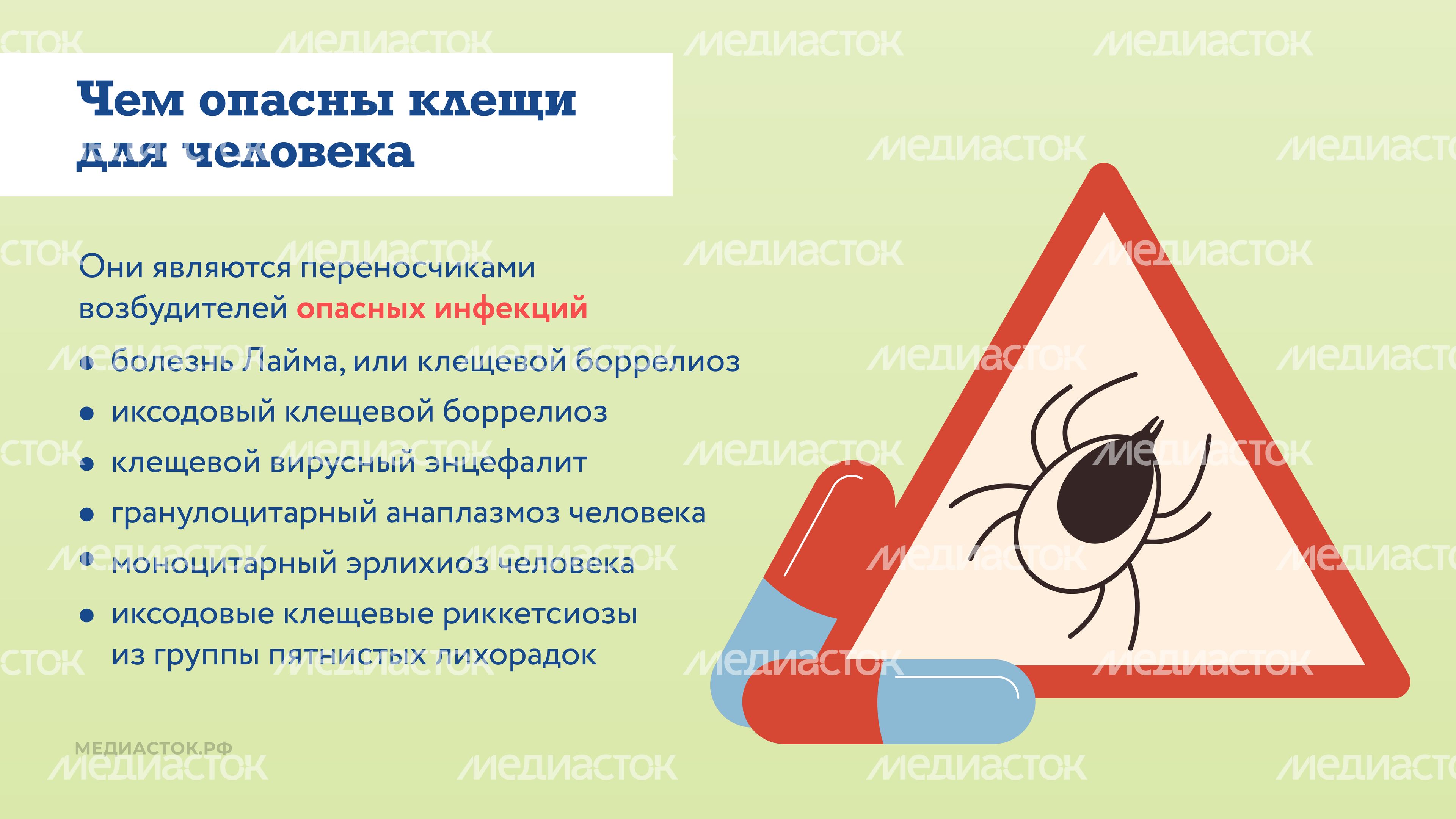 Как защититься от клещей горизонталь 03 Как защититься от клещей горизонталь 03