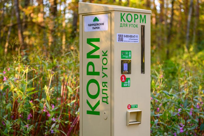 Автомат по продаже корма для уток у пруда в парке Малевича осенью