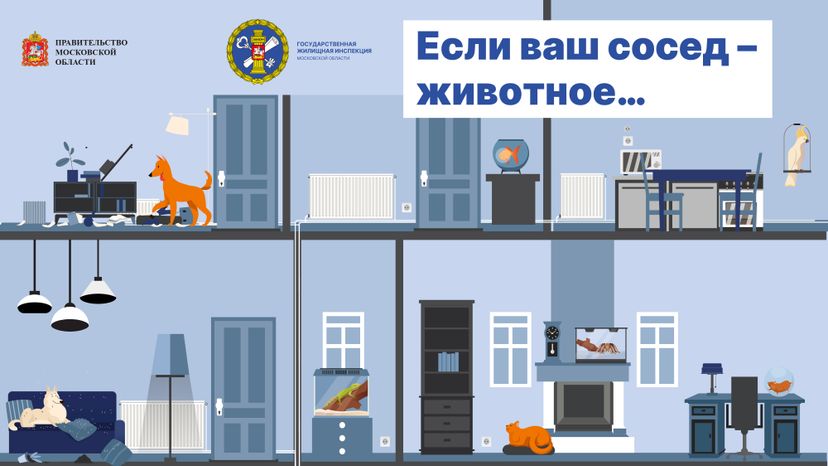 Результат опроса про домашних питомцев