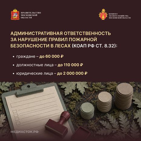 Живете рядом с лесом квадрат 05