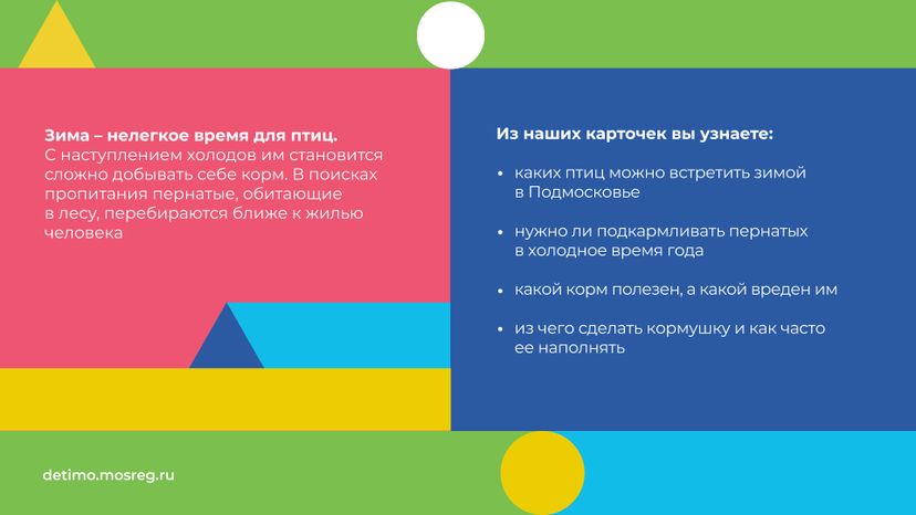 синичкин_день_горизонталь_02.jpg