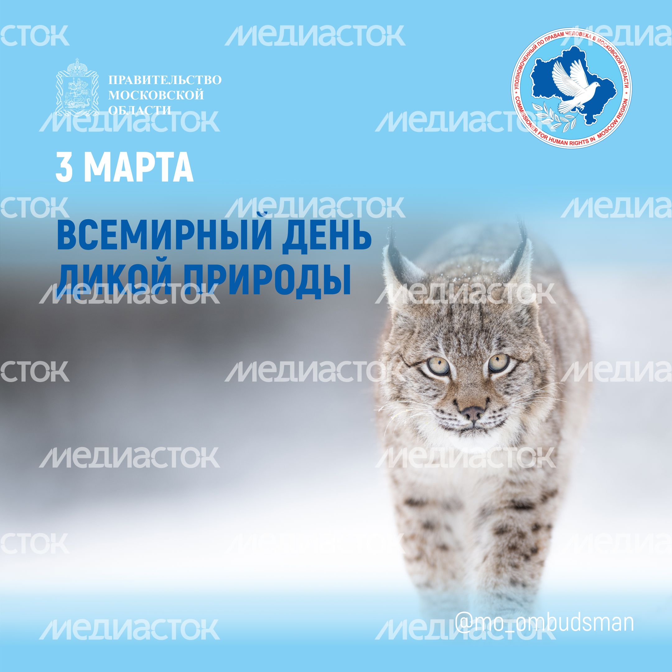 открытка-3 марта-квадрат-01