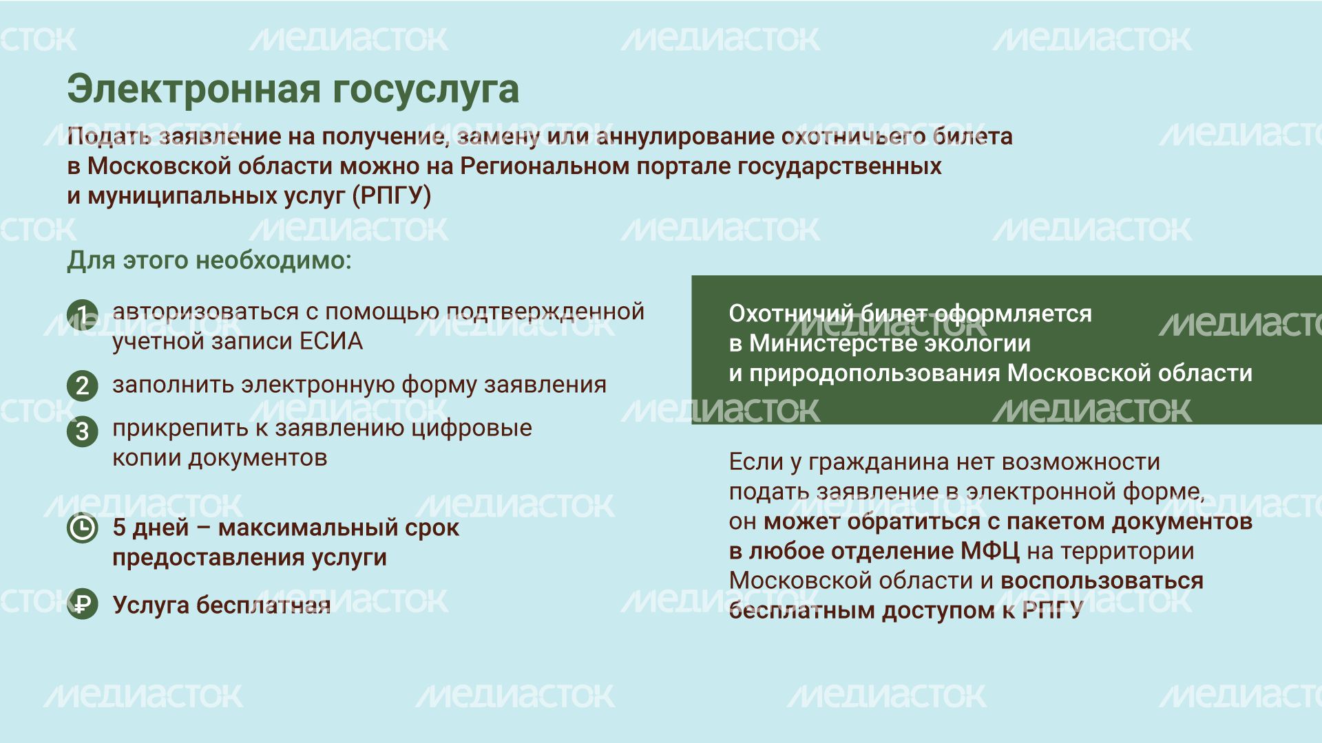 Охотничий билет горизонталь (2).png