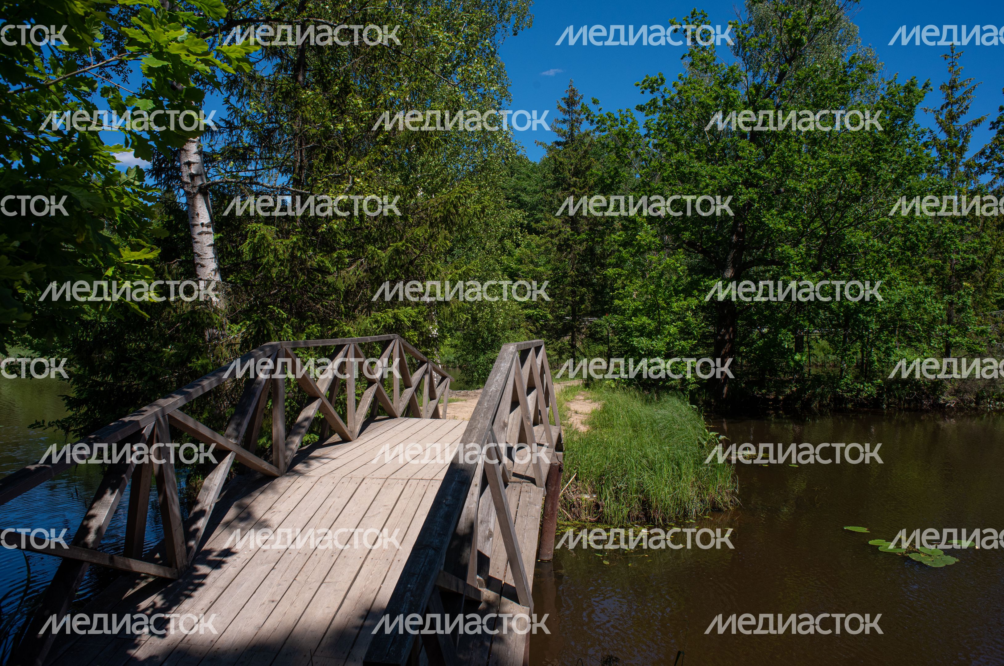 Летние виды Музея-заповедника «Абрамцево»