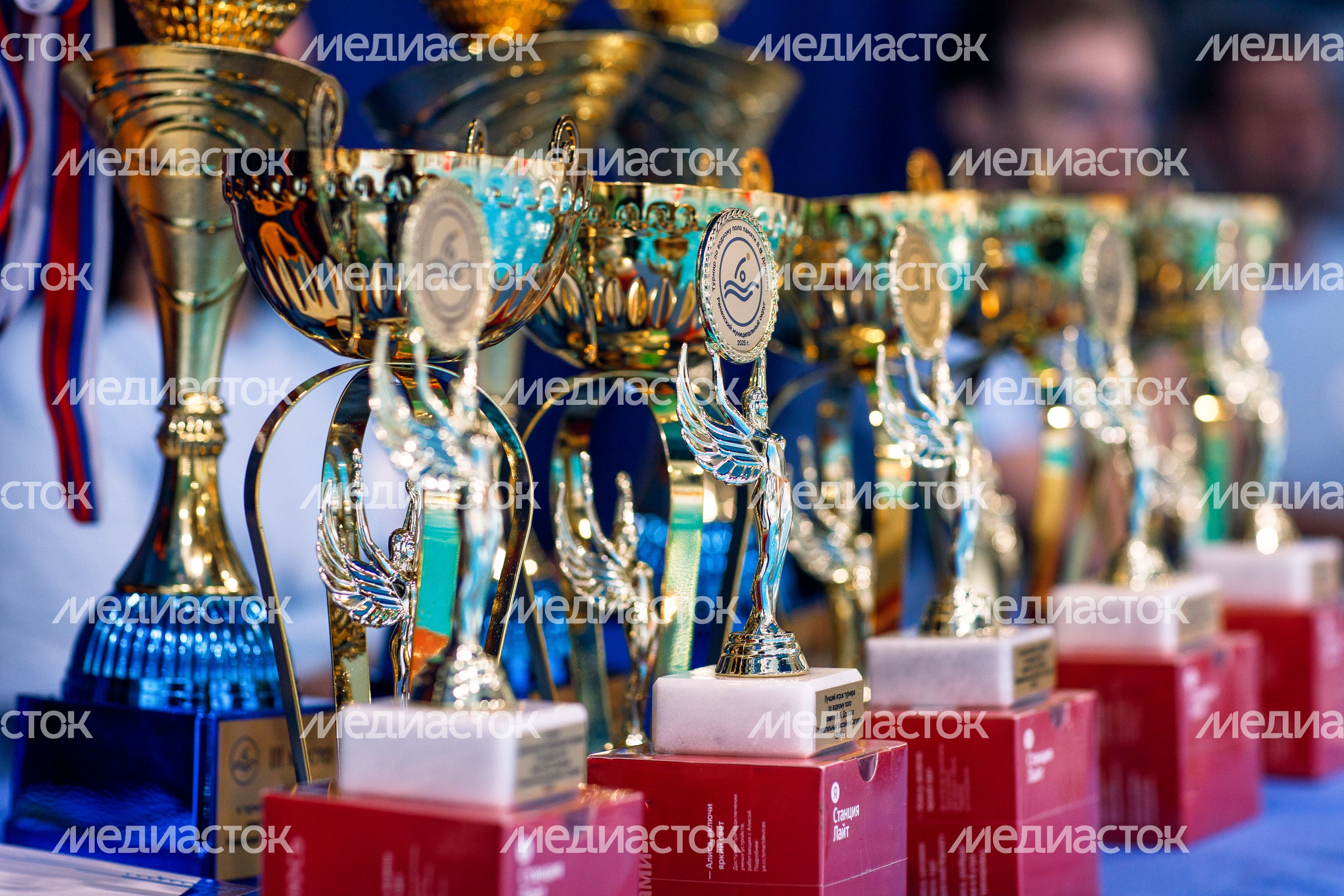 Турнир по водному поло памяти Владимира Долгова в Раменском Турнир по водному поло памяти Владимира Долгова в Раменском
