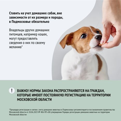 Зарегистрировать домашнее животное ред 2-квадрат-03.png