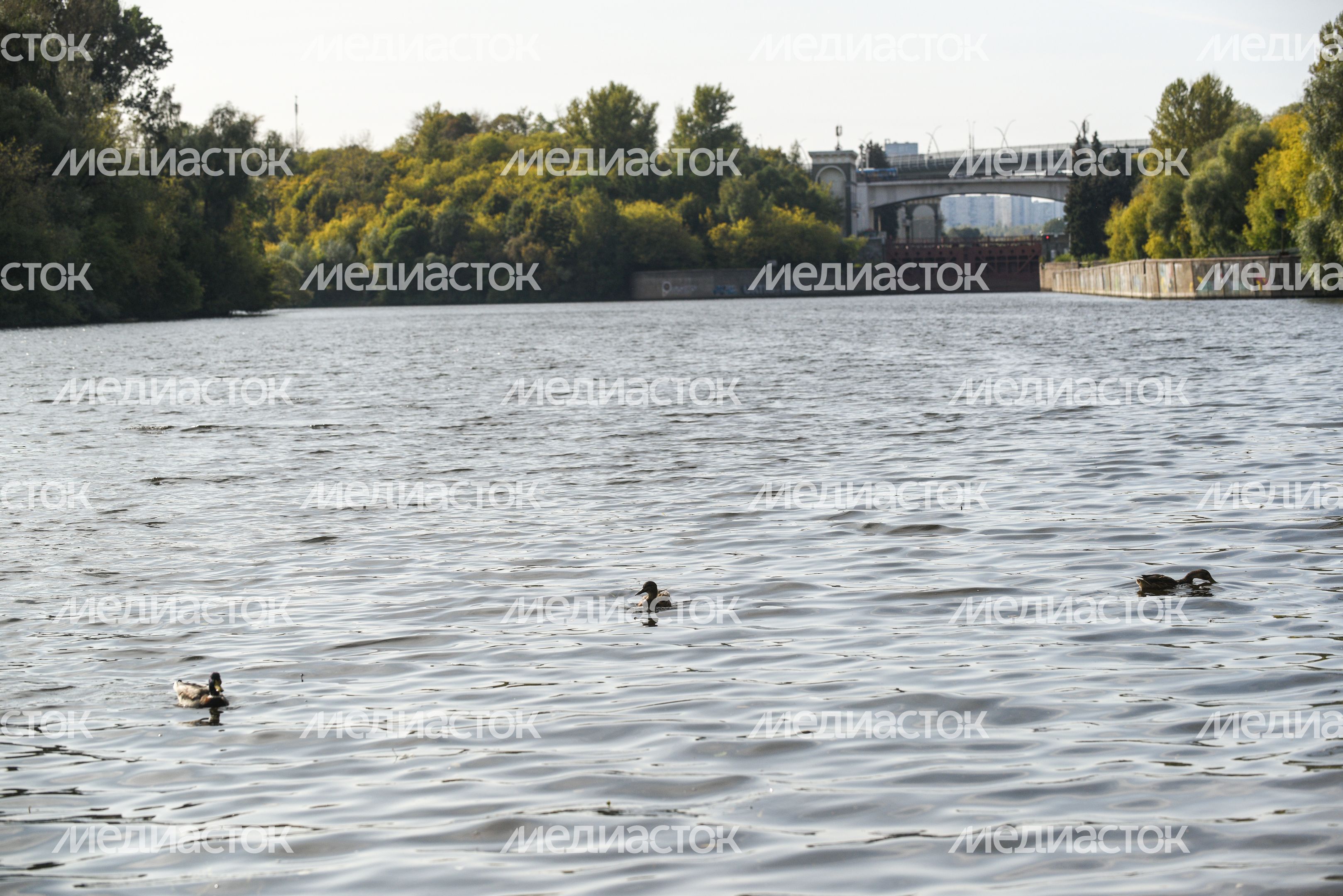 Повседневная жизнь в Хорошево‑Мневники Повседневная жизнь в Хорошево‑Мневники