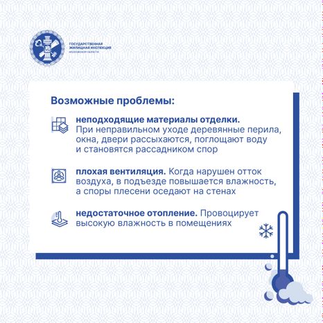 Квадрат Плесень 04.jpg