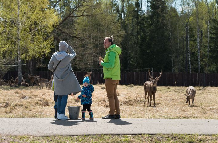 Национальный парк Лосиный остров