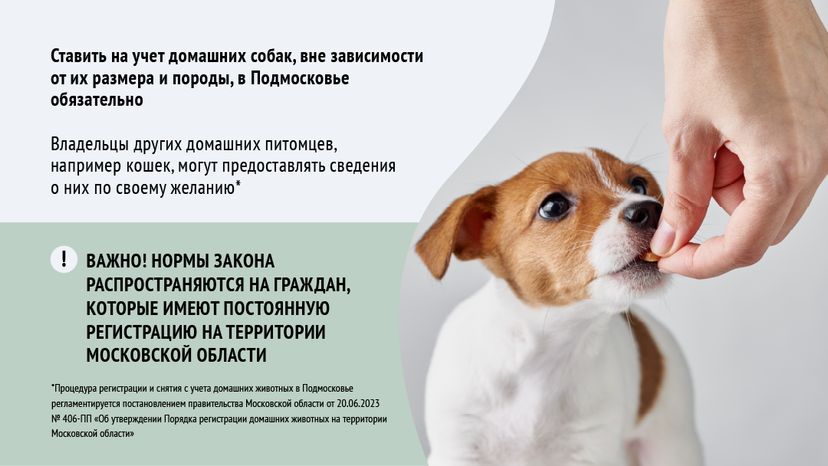 Зарегистрировать домашнее животное ред 2-горизонталь-03.png