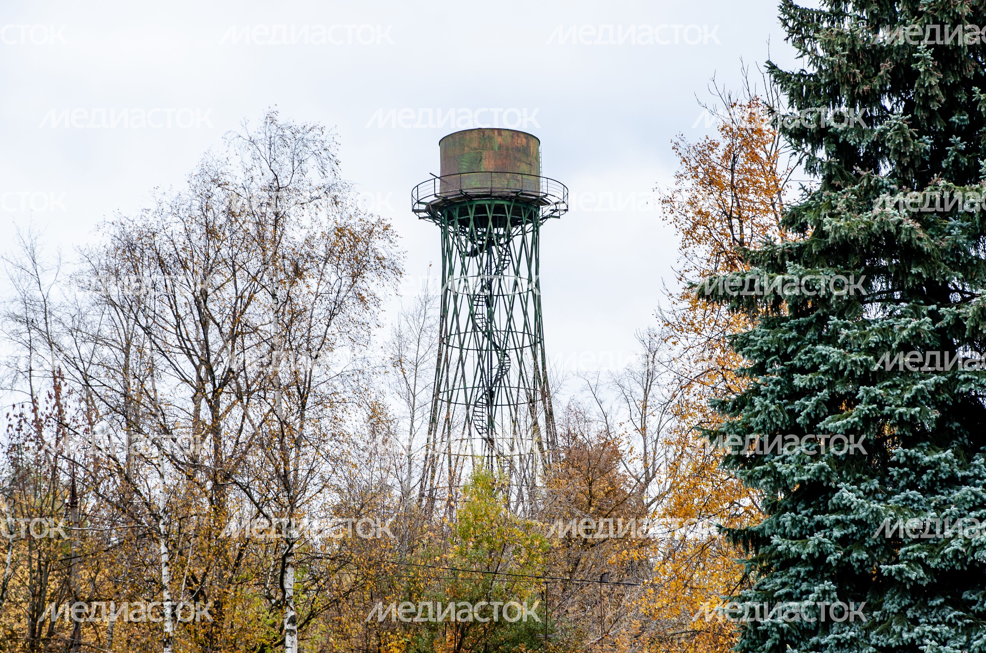 Виды города Лобня