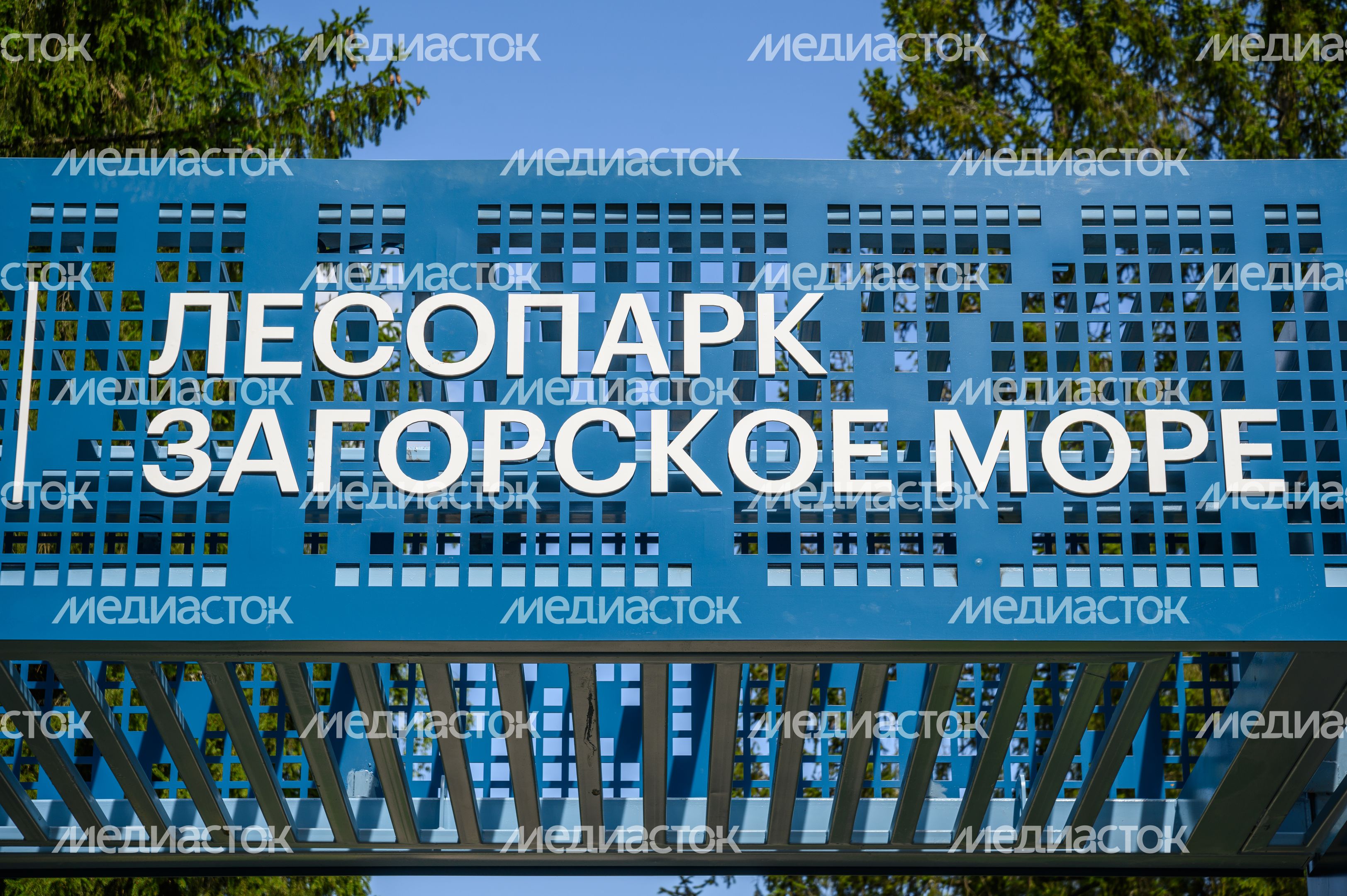 Лесопарк «Загорское море» открыли летом в Сергиевом Посаде Лесопарк «Загорское море» открыли летом в Сергиевом Посаде