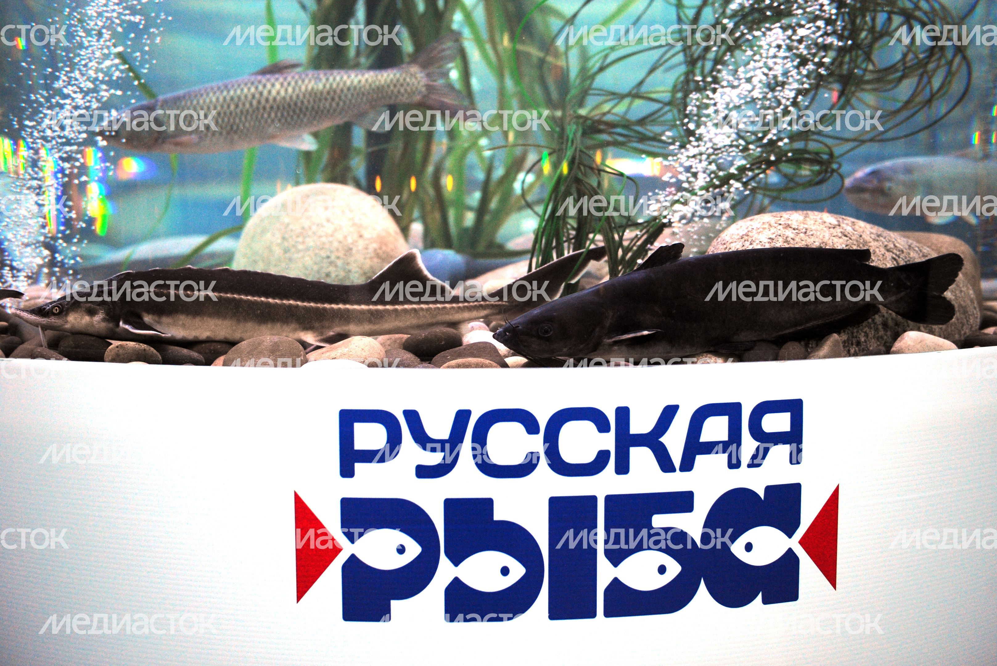 Всероссийский фестиваль «Рыбная неделя» в Москве