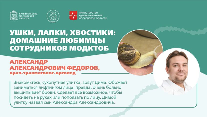 Ушки, лапки, хвостики горизонталь 04