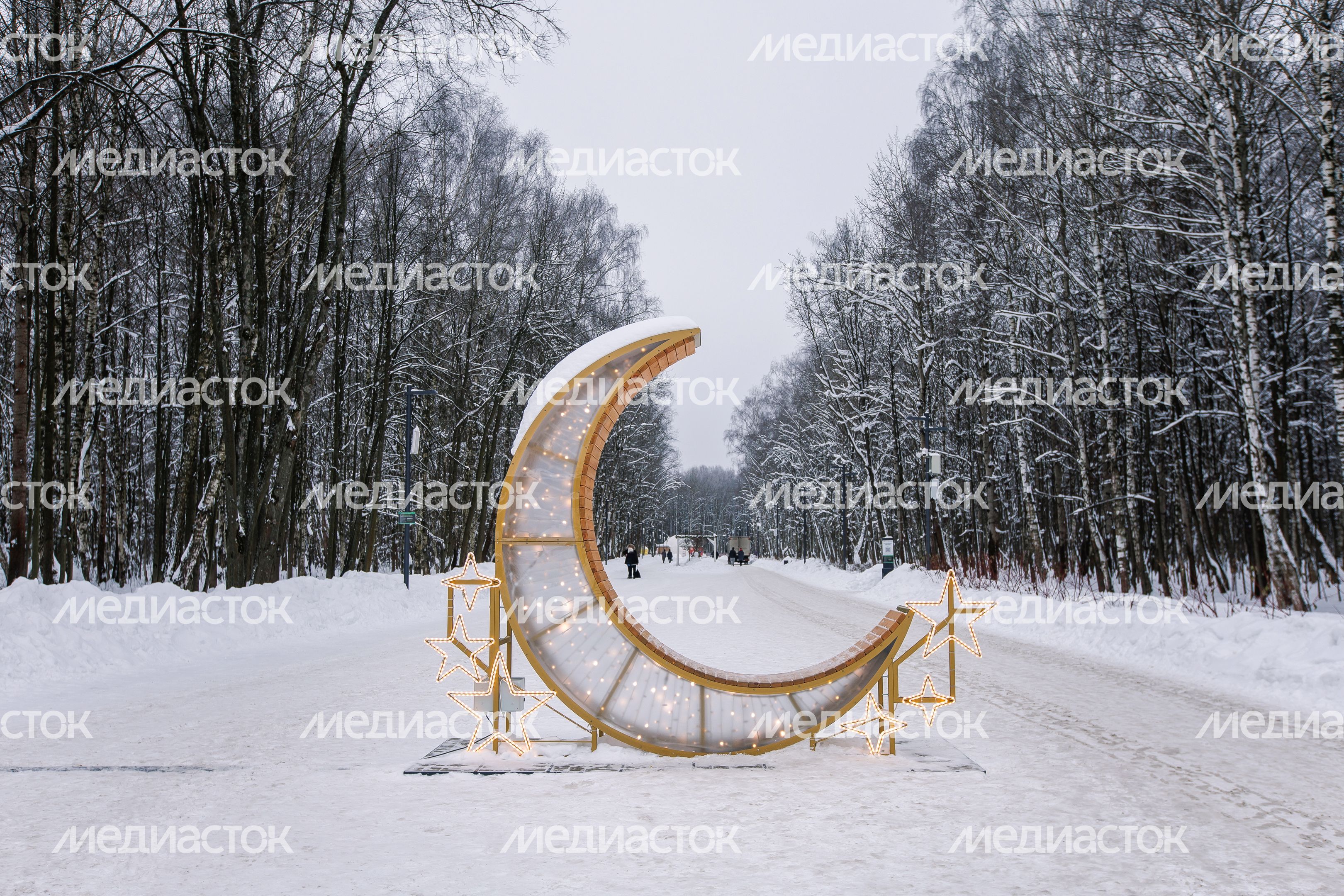 Аллея в парке «Авангард» Электростали зимой Аллея в парке «Авангард» Электростали зимой